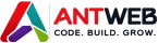 AntWeb Dijital Pazarlama Ajansı